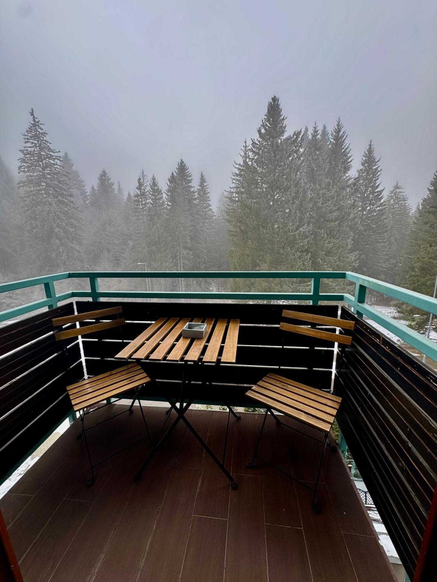 Luxury Silver Mountain Apartment Poiana Brasov Buitenkant foto